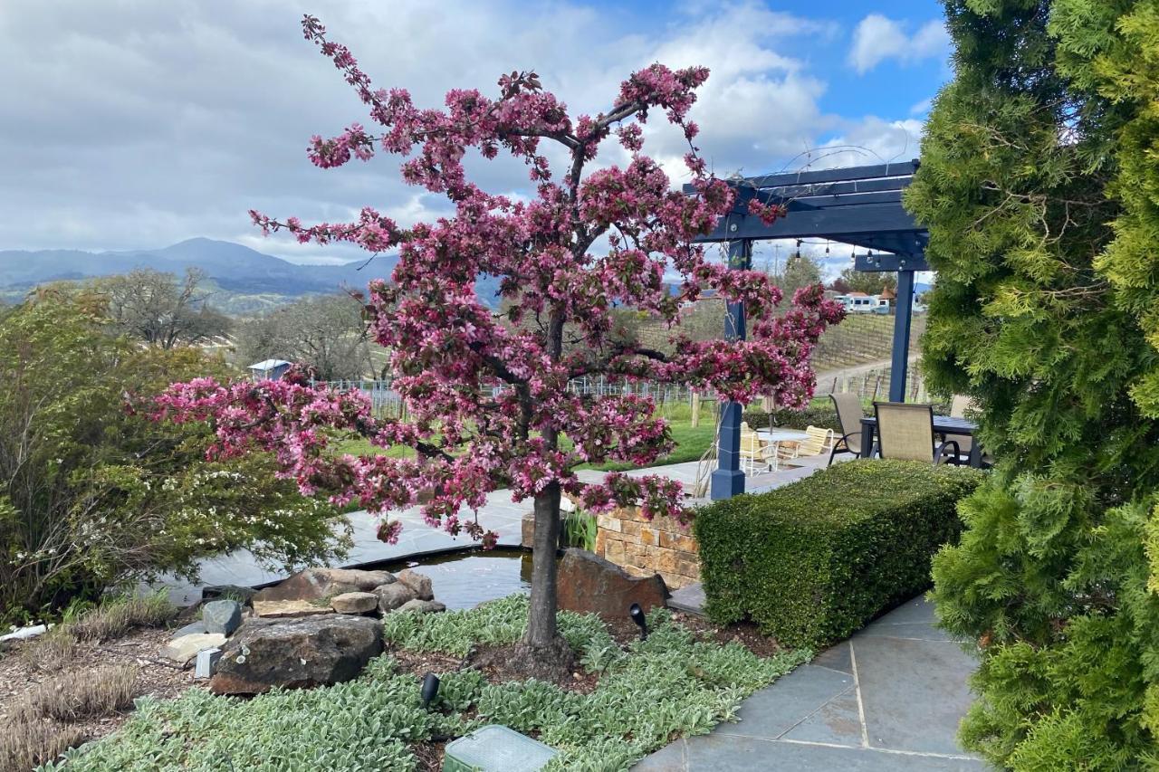 Alexander Valley Retreat Villa Healdsburg Exterior photo